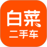白菜二手车App下载