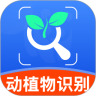 动物拍照识别App